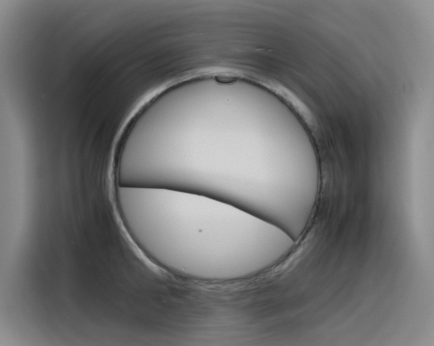 X0000116140902200911230929