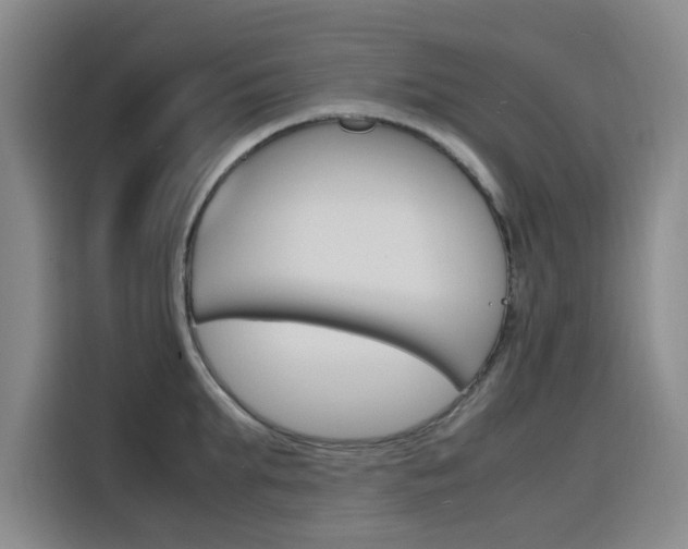 X0000116140903200911230929