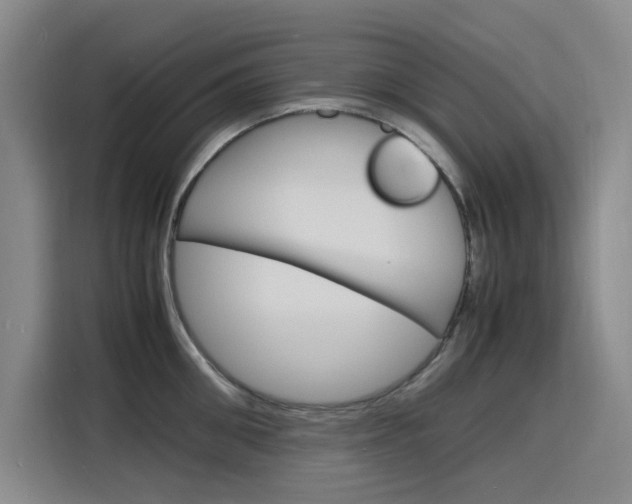 X0000116140906200911230929