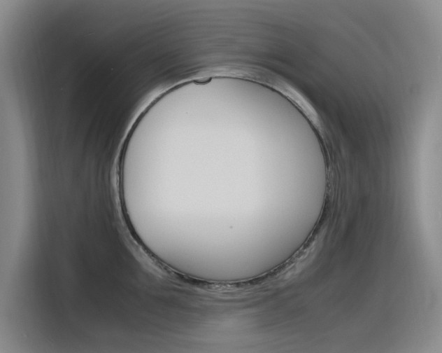 X0000116140907200911230929