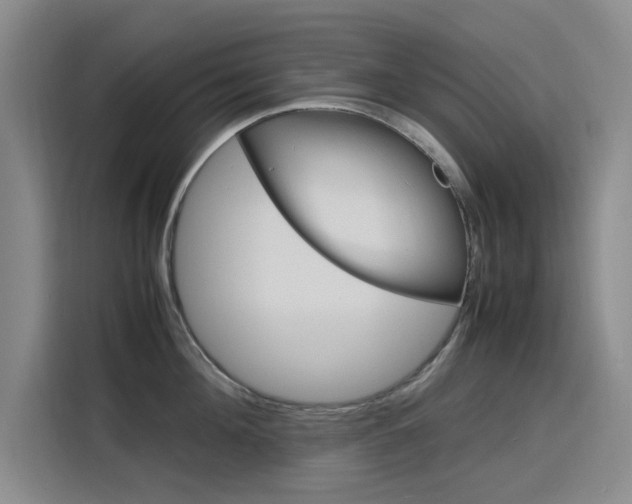 X0000116140908200911230929
