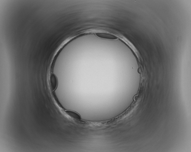 X0000116140909200911230929