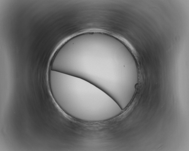X0000116140910200911230929