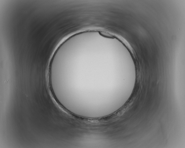 X0000116140911200911230929