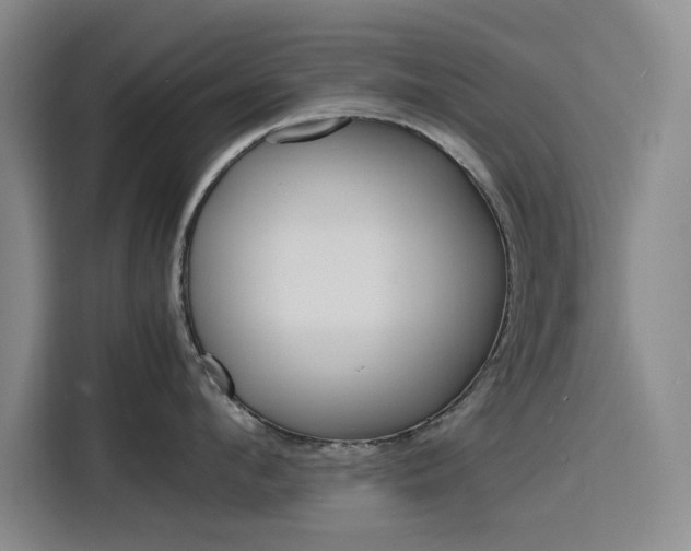 X0000116140912200911230929