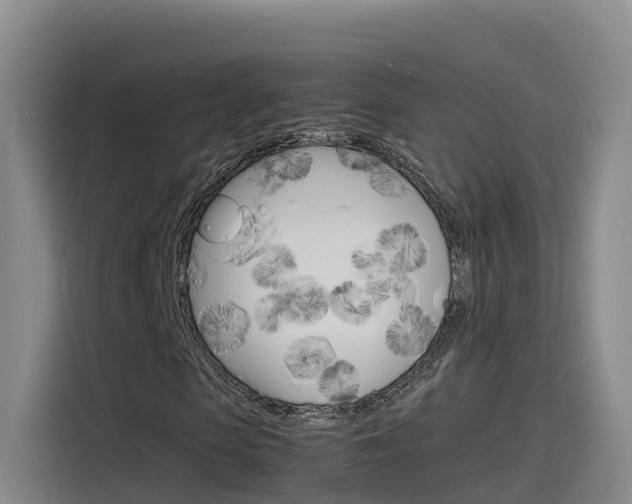 X0000116140913200911230928