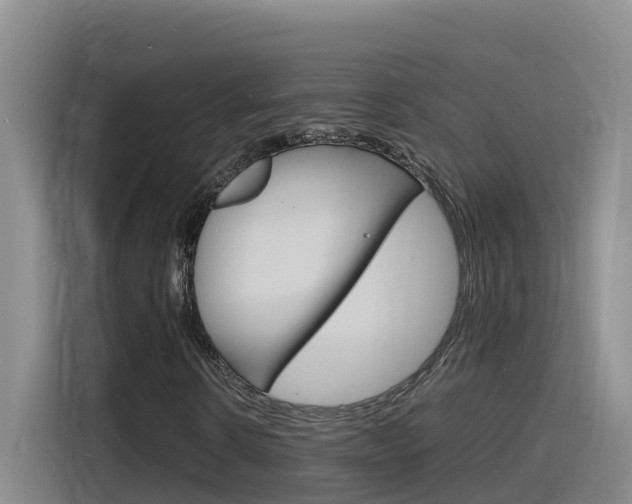 X0000116140914200911230928