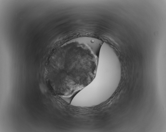 X0000116140917200911230928