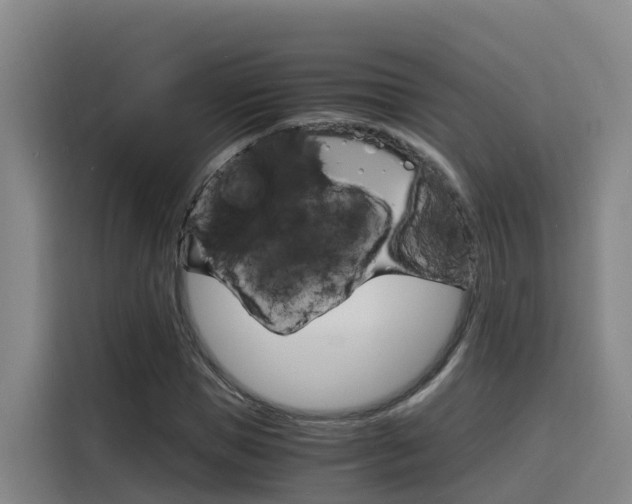 X0000116140921200911230928