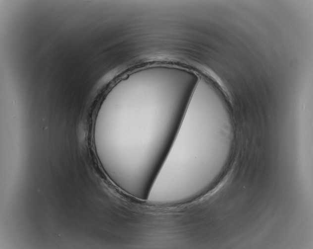 X0000116140922200911230928