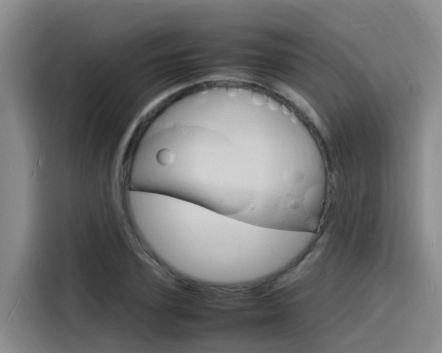 X0000116140931200911230929