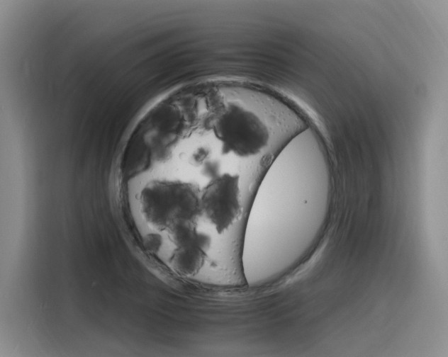X0000116140933200911230929
