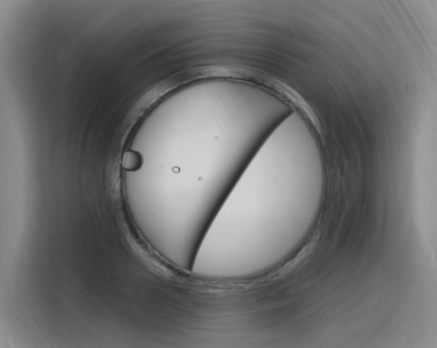 X0000116140938200911230929