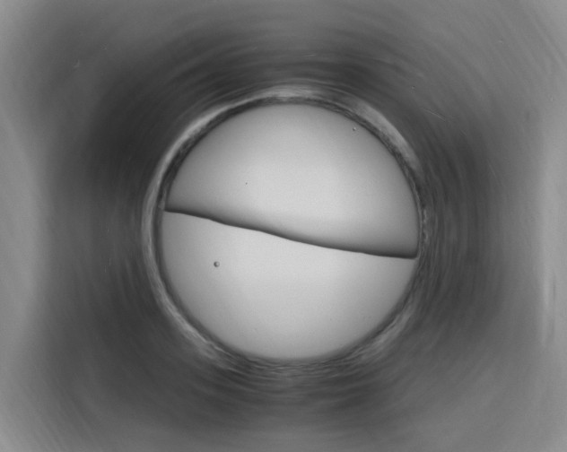 X0000116140939200911230929