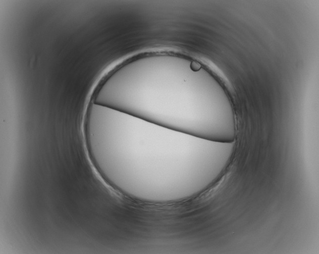 X0000116140943200911230929