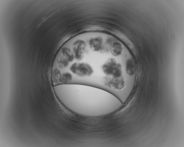 X0000116140945200911230929