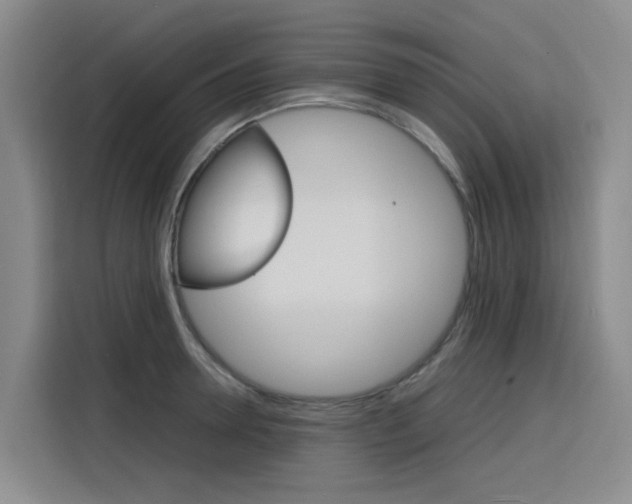 X0000116140946200911230929