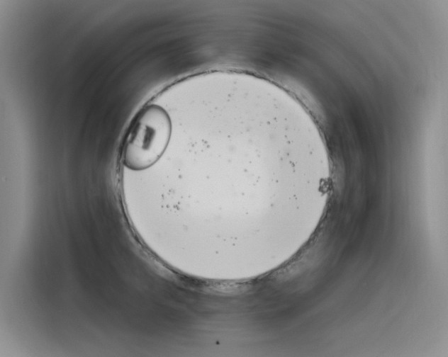 X0000116140950200911230929