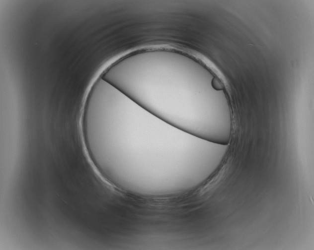 X0000116140951200911230929