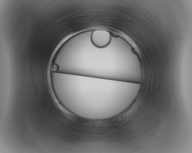 X0000116140955200911230929