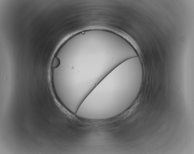 X0000116140958200911230929
