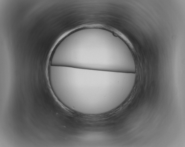 X0000116140959200911230929
