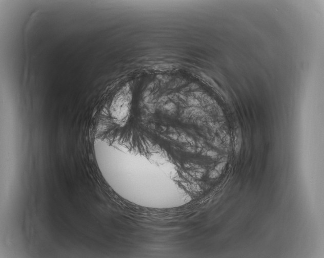 X0000116140962200911230928