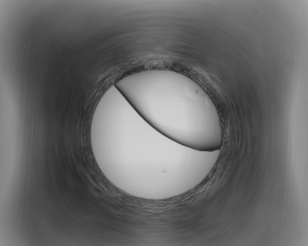 X0000116140964200911230928