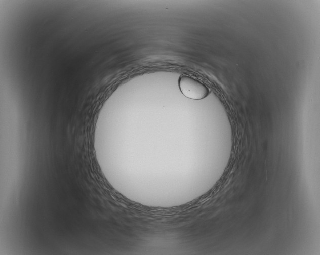 X0000116140965200911230928
