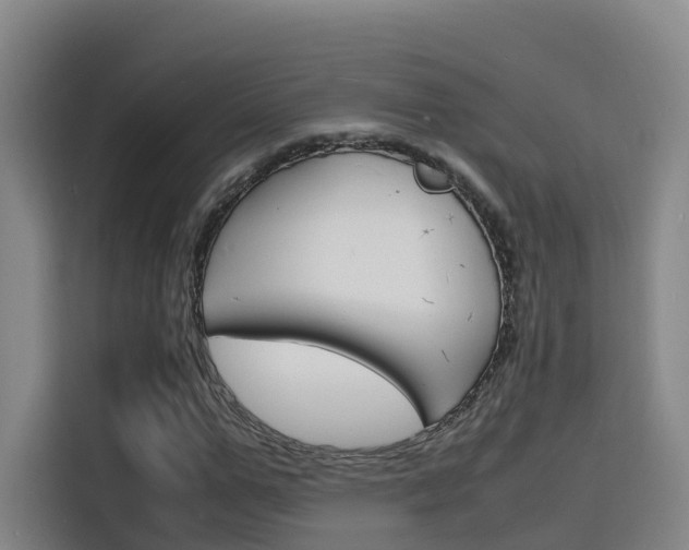 X0000116140967200911230928