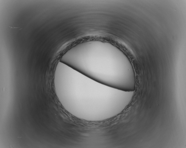 X0000116140968200911230928