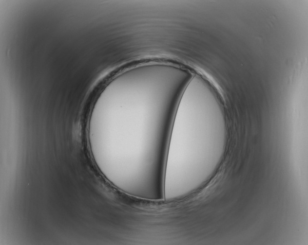 X0000116140975200911230928