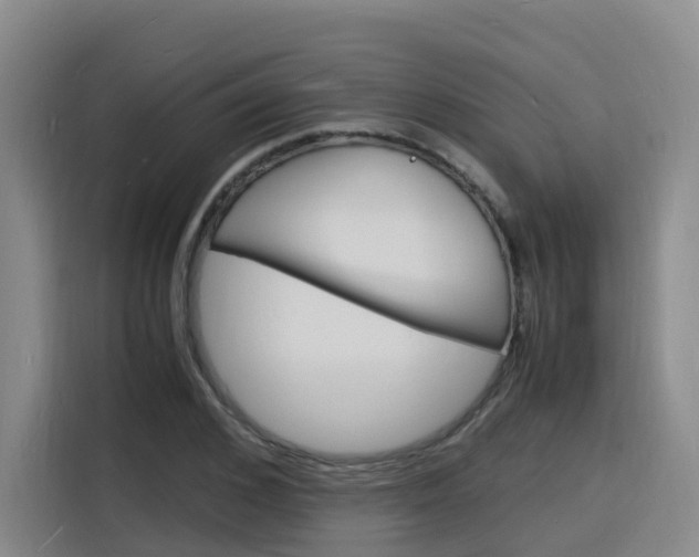 X0000116140976200911230928