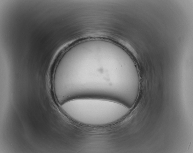 X0000116140979200911230928