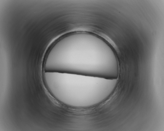 X0000116140980200911230928