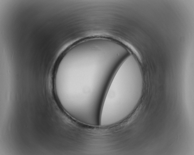 X0000116140983200911230928