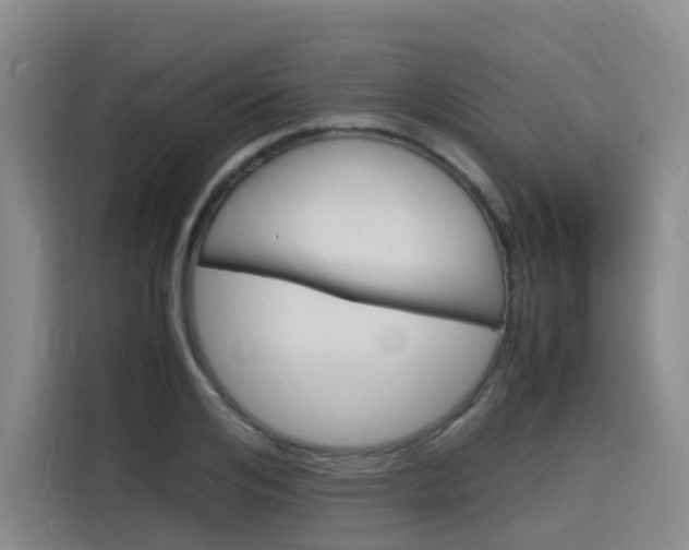 X0000116140984200911230928