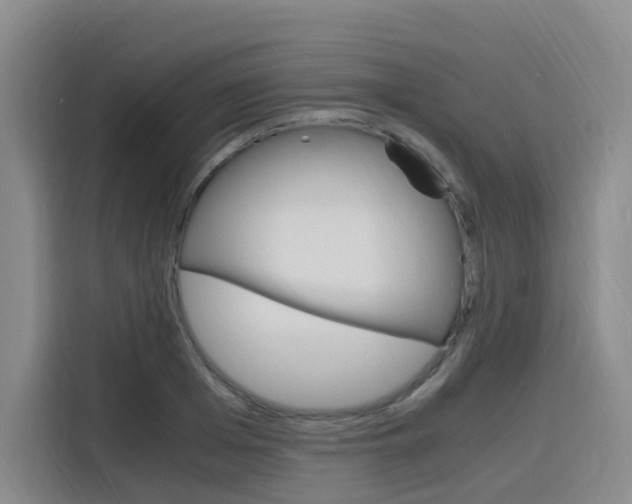 X0000116140985200911230928