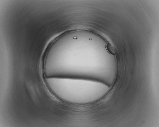 X0000116140987200911230928
