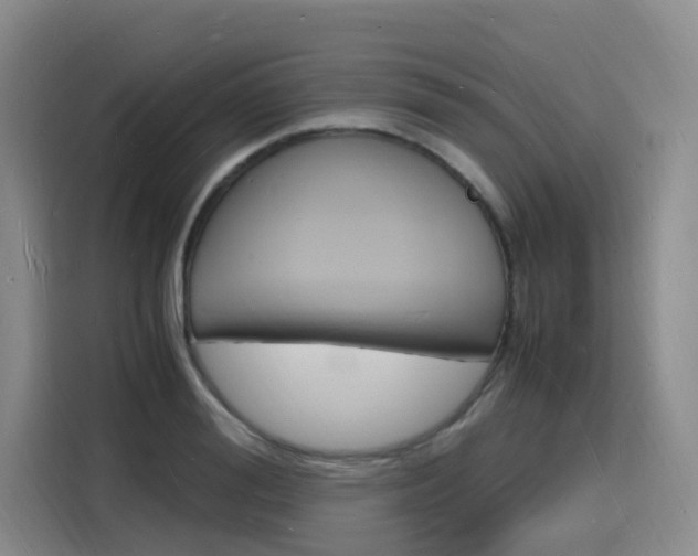 X0000116140988200911230928