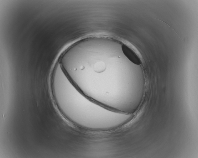 X0000116140989200911230928