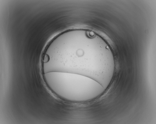X0000116140990200911230928