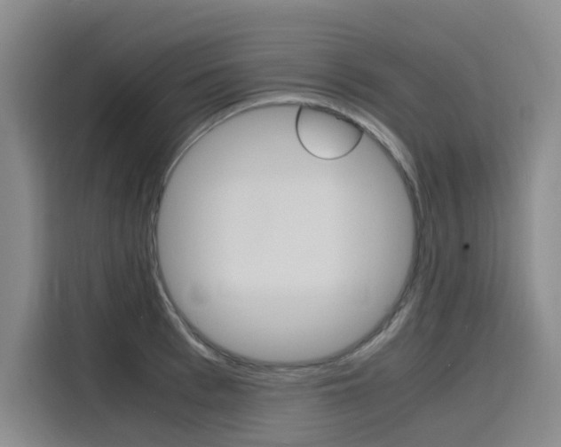 X0000116140993200911230928