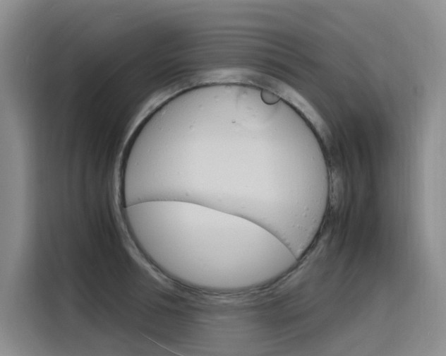 X0000116140994200911230928