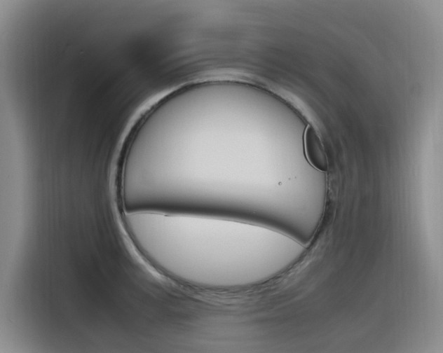 X0000116140995200911230928