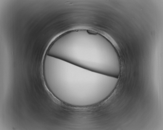 X0000116140996200911230928