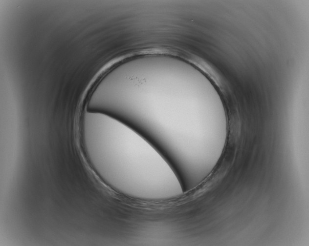 X0000116141000200911230928