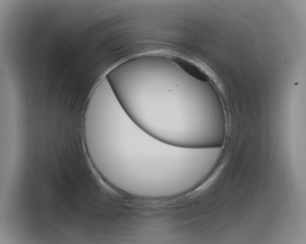 X0000116141001200911230928