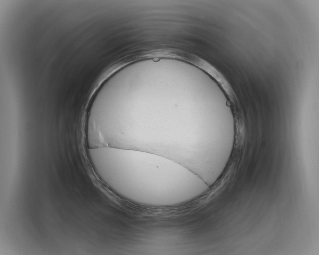 X0000116141002200911230928