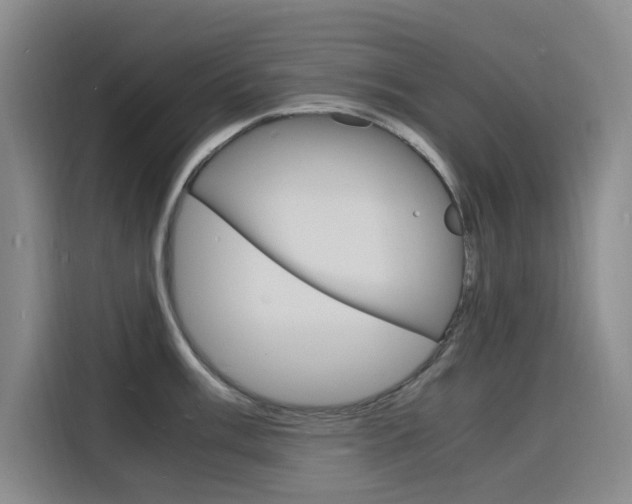 X0000116141003200911230928